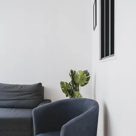 Le Dom Place Stanislas Equipe Pour 4 Personnes Appartement *