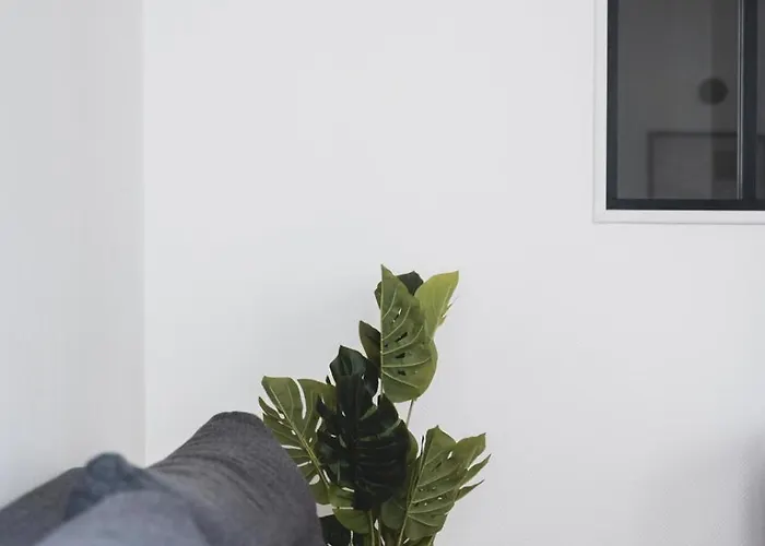 Le Dom Place Stanislas Equipe Pour 4 Personnes